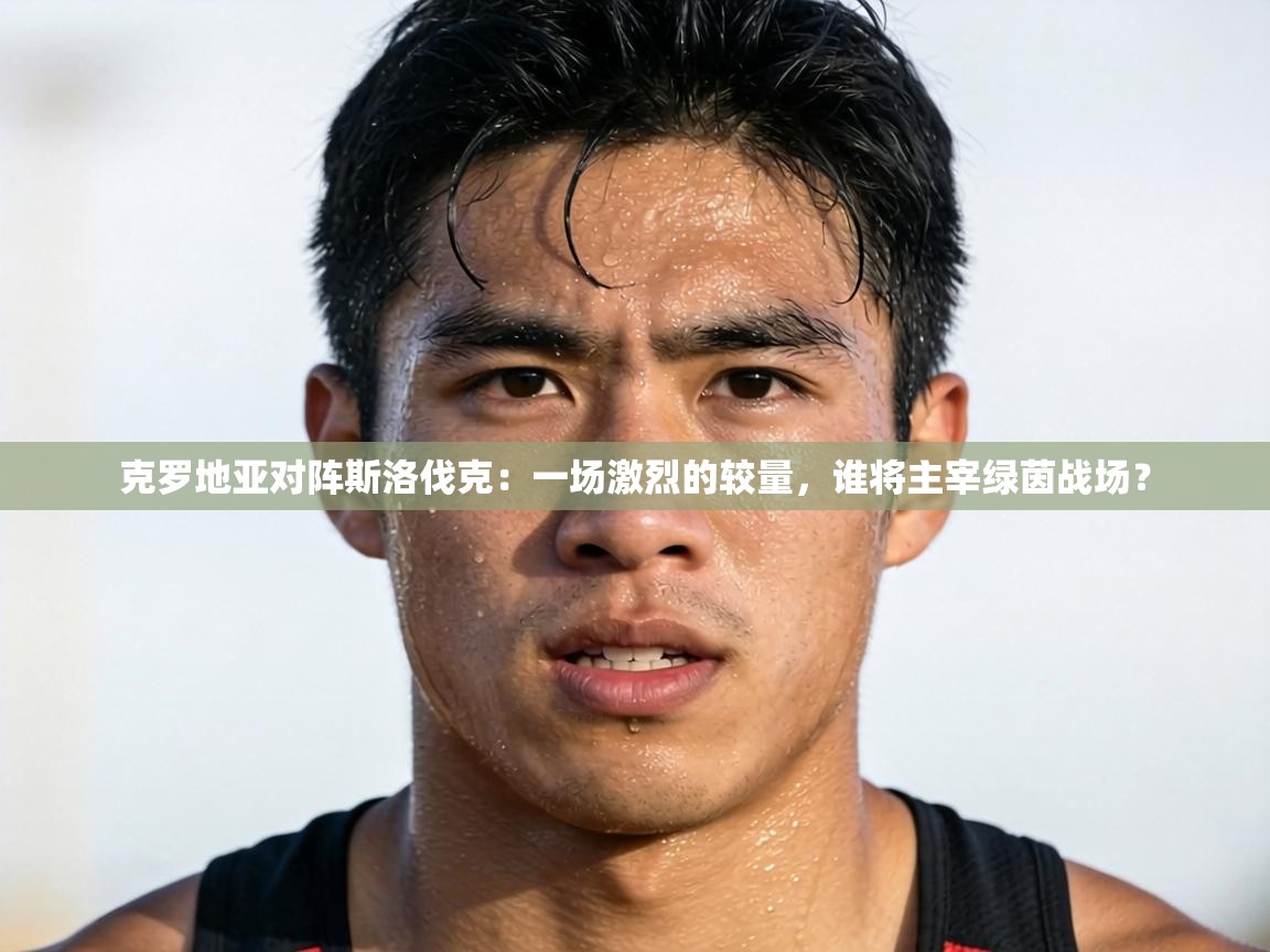 克罗地亚对阵斯洛伐克:一场激烈的较量,谁将主宰绿茵战场? 第2张