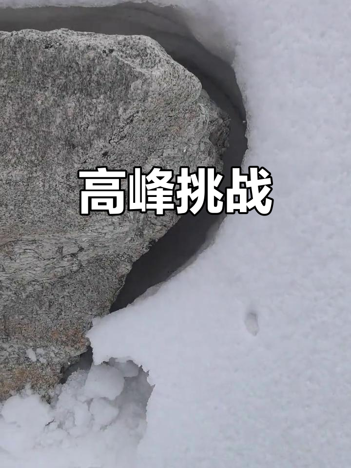 队员斗志昂扬,欧洲赛区预选赛攀登高峰的简单介绍 队员斗志昂扬,欧洲赛区预选赛攀登高峰的简单介绍